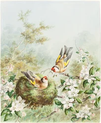 Goudvinken en hun Nest in een Appelboom