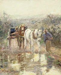 Paarden en kar