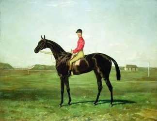 Een renpaard met een jockey op de renbaan van Newmarket (olieverf op doek)