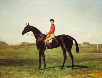 Een renpaard met jockey op de renbaan in Newmarket