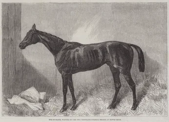 De Markies, Winnaar van de Two Thousand Guineas Stakes in Newmarket