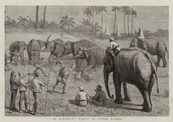 Een Olifant Pooay in Boven-Birma