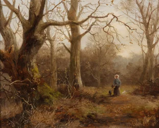 Boslandschap