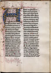 Evangelieboek met Evangelistenportretten: Gedecoreerde Initiaal