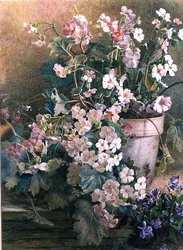 Studie van Sleutelbloemen
