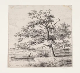 Eikenbomen bij een meer
