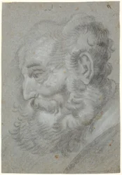 Ouderenhoofd, profiel naar links