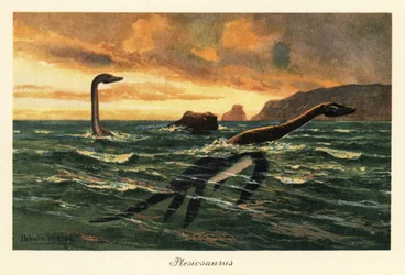 Plesiosaurus dolichodeirus in de oceaan