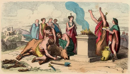 Oude Griekenland: Rituele stierenoffer - Griekenland ten tijde van de koningen