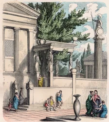 Oude Griekenland: De heilige olijfboom bij het kasteel (Acropolis) in Athene