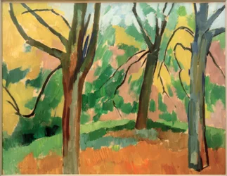 Parklandschap