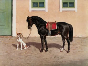 Paard, zwart paard naar H. Sperling