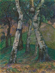 Berken bij de Barkenhoff, 1913.