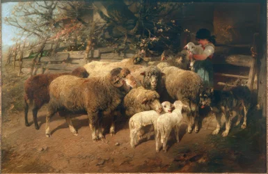 De lieveling