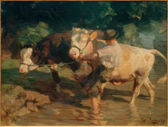 Hel- en zwartbonte