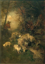 Herder met Schapen