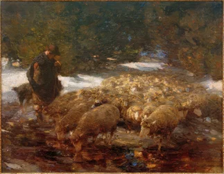 Herder met schapen in landschap