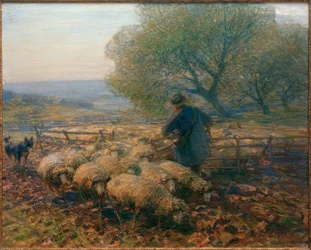 Schapen die de Kraal Verlaten