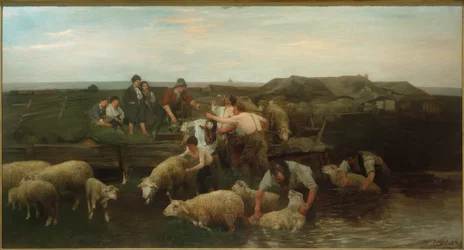 Schapenwas