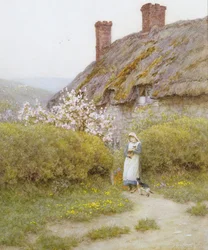 Een Cottage in Dorset