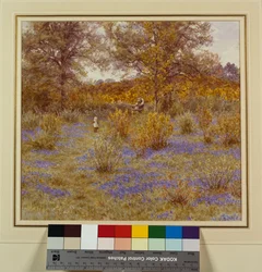 Bluebell Bosje, 1889