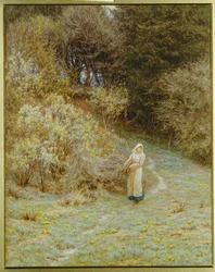 In het Primrose-bos