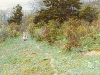 Sleutelbloemen op een heide in Surrey