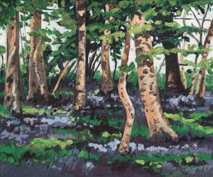 Bluebell Bos, 2009