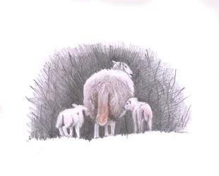 Volgen, 2016