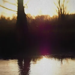 Violette Nevel, 2018