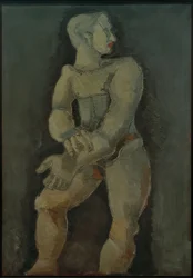 Levensgrote mannelijke naakt