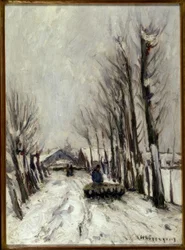 Schapenkudde in de winter
