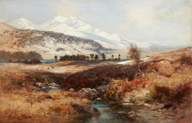 Sneeuwachtig Hooglandlandschap