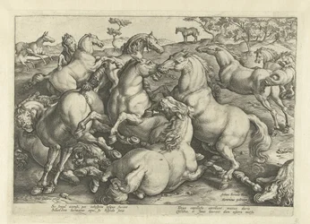 Twaalf vechtende paarden Paardenrassen uit de Koninklijke stallen van Don Juan van Oostenrijk