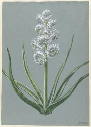 Hyacint Markgraaf Karel van Baden Durlach