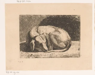 Slapende hond