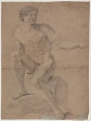 Mannelijk Modelstudie