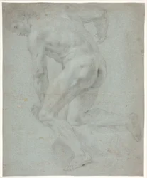 Mannelijke Modelstudie