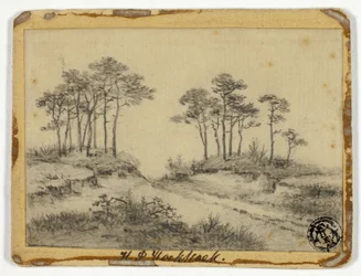 Pad door bomen