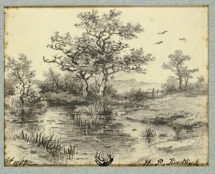 Bomen bij vijver