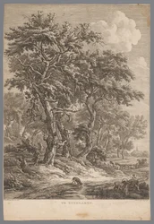 Landschap bij Zuidlaren