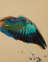 Studie van een vleugel