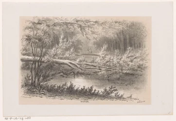 Omgewaaide boom, na de storm van 28 mei 1860