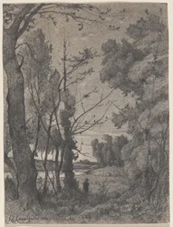 Boslandschap langs een rivier