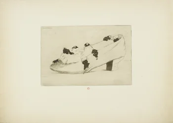 De aanval van de schoen
