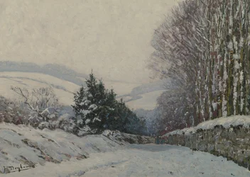 Winterlandschap