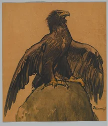 De adelaar
