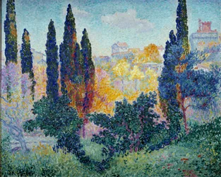 Les cypres à Cagnes