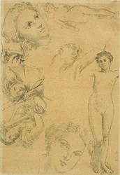 Blad met Studies (replica)