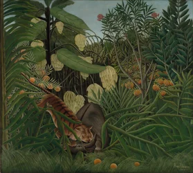 Gevecht tussen een tijger en een buffel, 1908